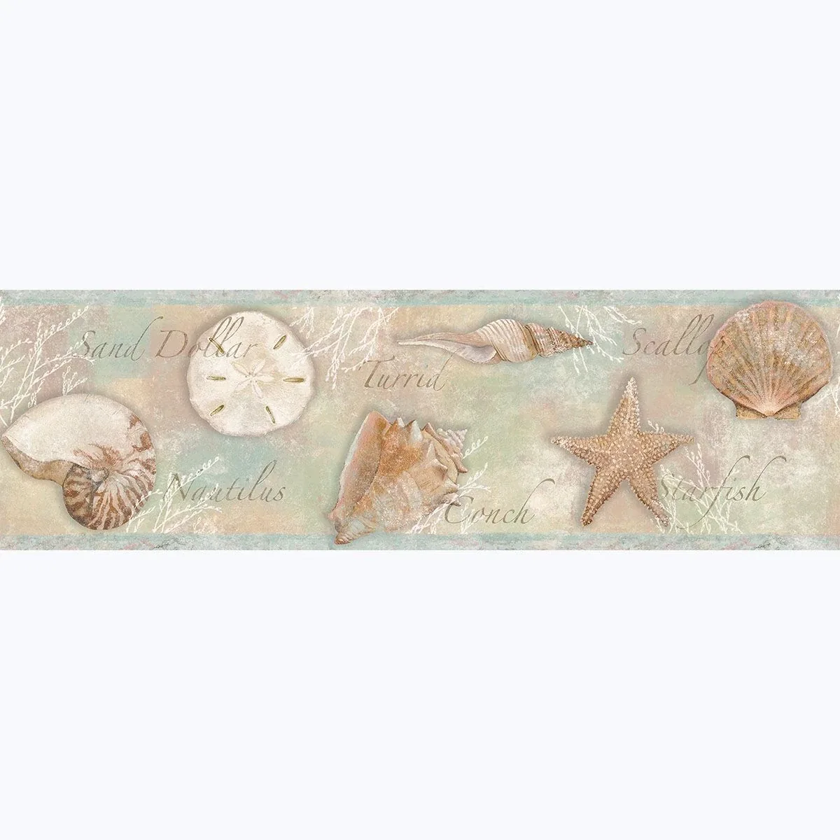 Brewster Home Fashions Quinten Brown Shells Wallpaper - SKU 3120-46051B