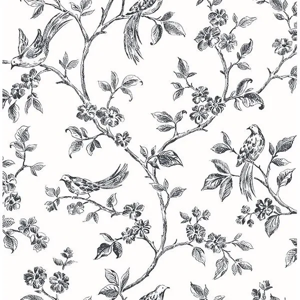 Brewster Home Fashions Ray Black Bird Trail Wallpaper - SKU 2813-24976