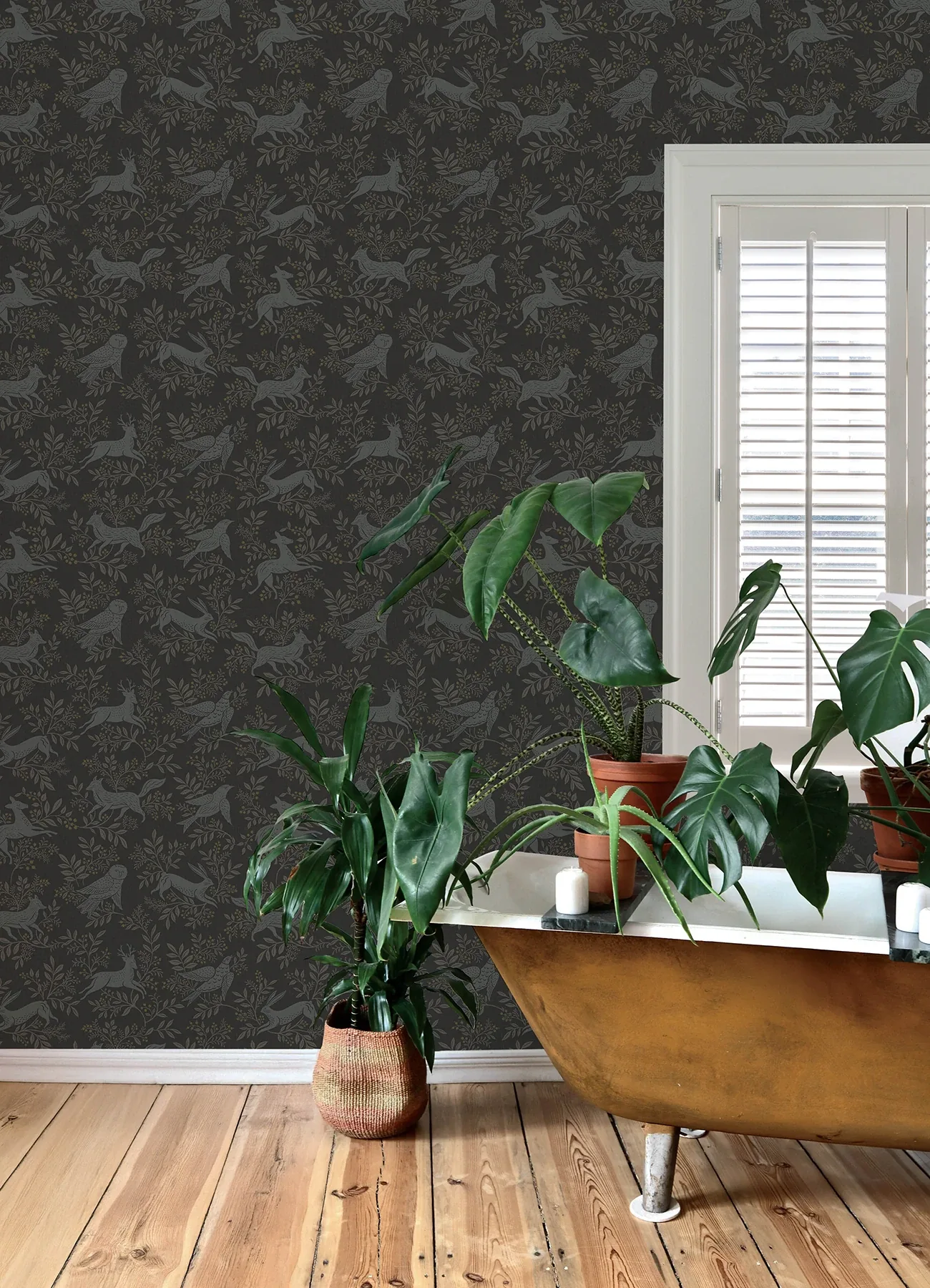 Brewster Home Fashions Revelry Black Forest Frolic Wallpaper - SKU 4169-83114