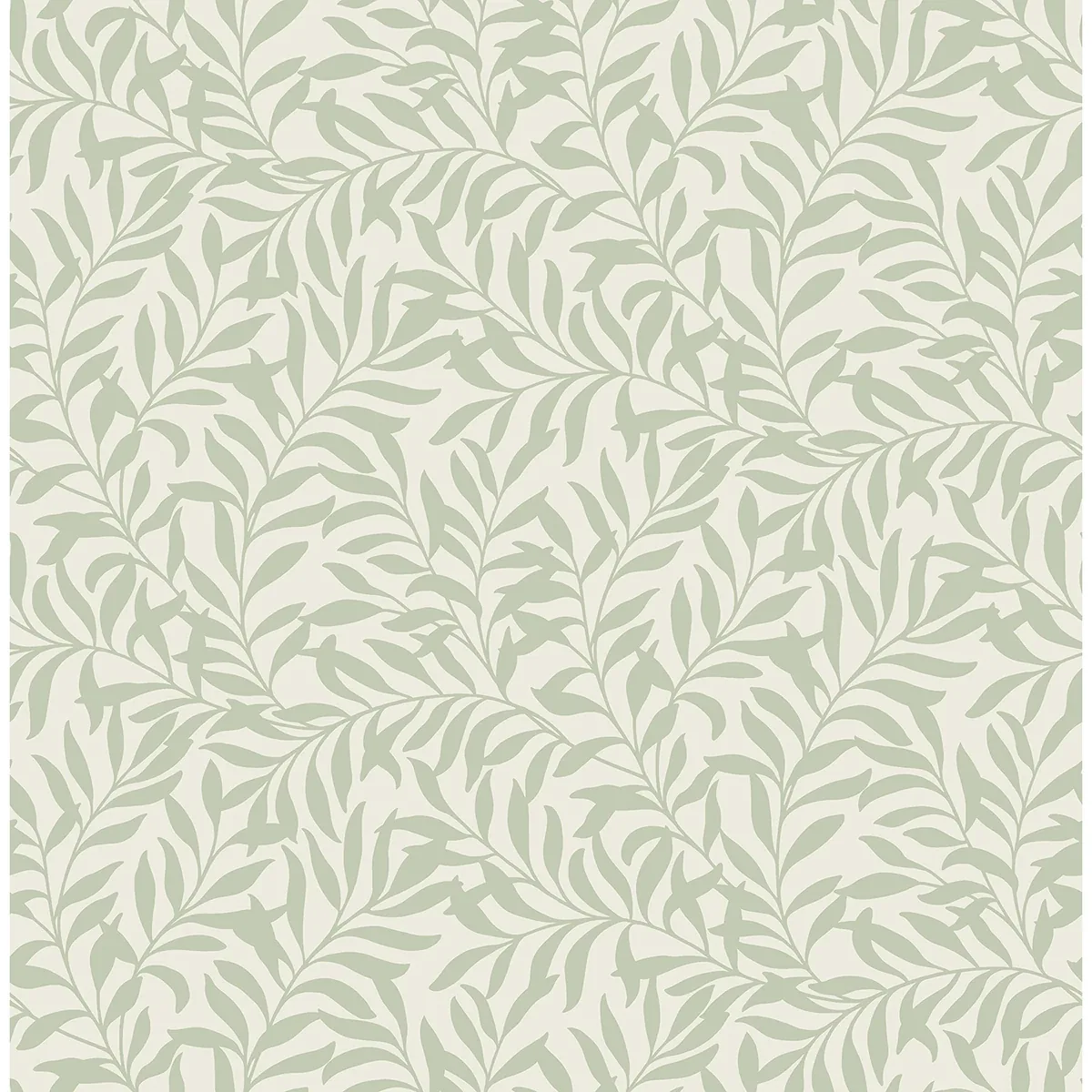 M1667 | Salix Sage Leaf Wallpaper