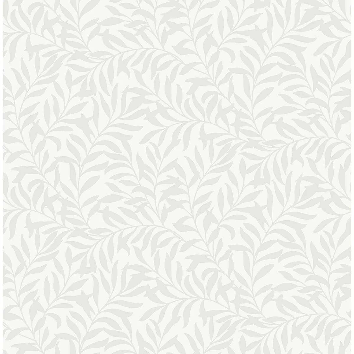M1666 | Salix Silver Leaf Wallpaper