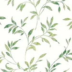 Brewster Home Fashions Sanibel Green Trail Wallpaper | Wallpaper Twins Brewster Home Fashions Sanibel Green Trail Wallpaper - SKU 3117-54517