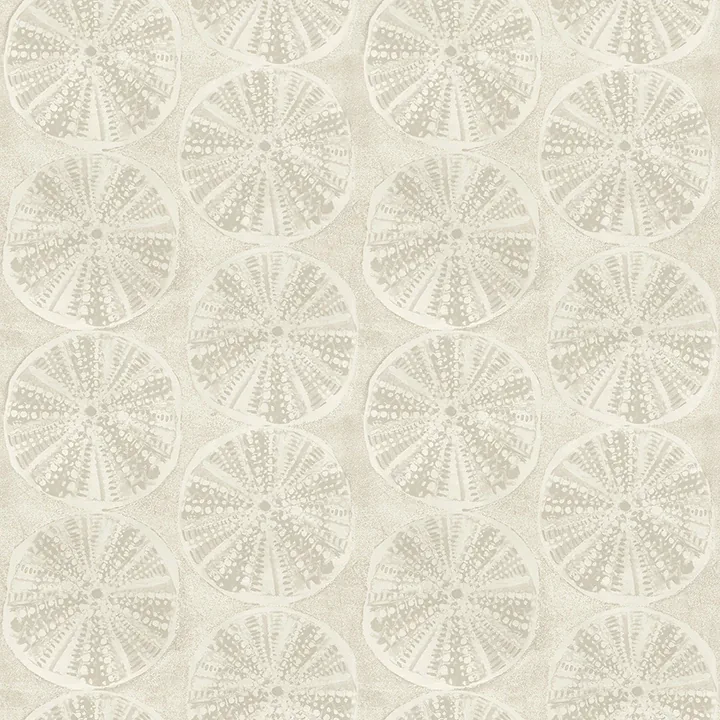 Brewster Home Fashions Sea Biscuit Beige Sand Dollar Wallpaper - SKU 4071-71027
