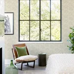 Brewster Home Fashions Sea Biscuit Beige Sand Dollar Wallpaper | Wallpaper Twins Brewster Home Fashions Sea Biscuit Beige Sand Dollar Wallpaper - SKU 4071-71027