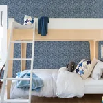 Brewster Home Fashions Sea Biscuit Blue Sand Dollar Wallpaper | Wallpaper Twins Brewster Home Fashions Sea Biscuit Blue Sand Dollar Wallpaper - SKU 4071-71025