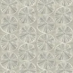 Brewster Home Fashions Sea Biscuit Grey Sand Dollar Wallpaper | Wallpaper Twins Brewster Home Fashions Sea Biscuit Grey Sand Dollar Wallpaper - SKU 4071-71024
