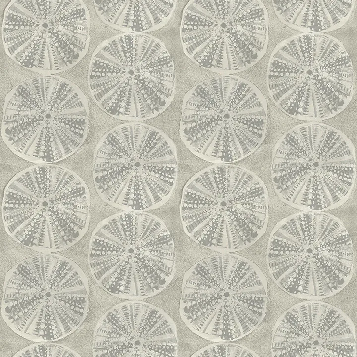 Brewster Home Fashions Sea Biscuit Grey Sand Dollar Wallpaper - SKU 4071-71024