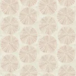 Brewster Home Fashions Sea Biscuit Peach Sand Dollar Wallpaper | Wallpaper Twins Brewster Home Fashions Sea Biscuit Peach Sand Dollar Wallpaper - SKU 4071-71026