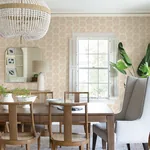 Brewster Home Fashions Sea Biscuit Peach Sand Dollar Wallpaper | Wallpaper Twins Brewster Home Fashions Sea Biscuit Peach Sand Dollar Wallpaper - SKU 4071-71026