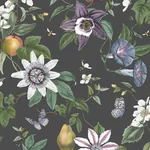 Brewster Home Fashions Sierra Black Floral Wallpaper | Wallpaper Twins Brewster Home Fashions Sierra Black Floral Wallpaper - SKU FD43060
