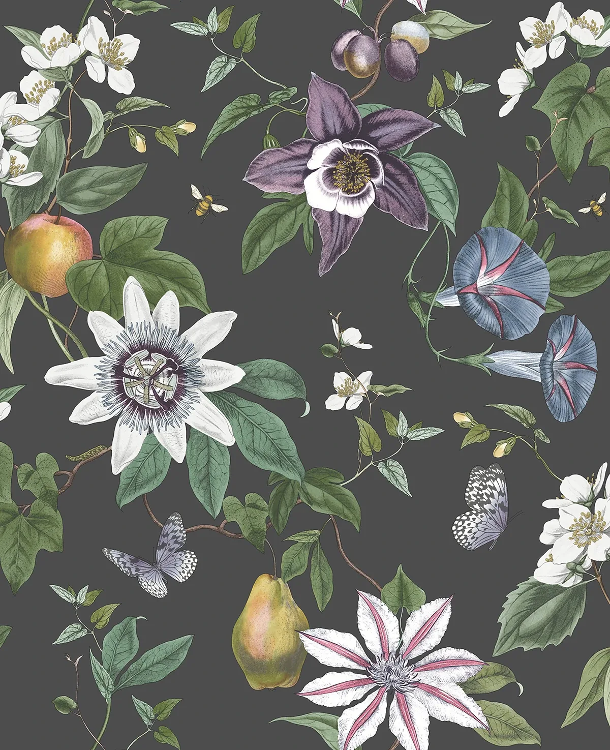 Brewster Home Fashions Sierra Black Floral Wallpaper - SKU FD43060