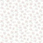Brewster Home Fashions Sofiane Blush Botanical Trail Wallpaper | Wallpaper Twins Brewster Home Fashions Sofiane Blush Botanical Trail Wallpaper - SKU 4072-70037