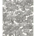 Brewster Home Fashions Spinney Black Toile Wallpaper - SKU 3115-12542
