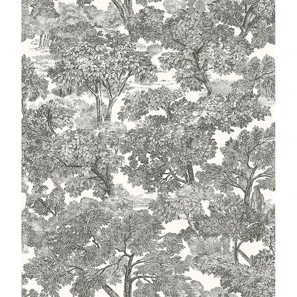 Brewster Home Fashions Spinney Black Toile Wallpaper - SKU 3115-12542