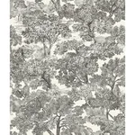 Brewster Home Fashions Spinney Black Toile Wallpaper - SKU 4134-72558