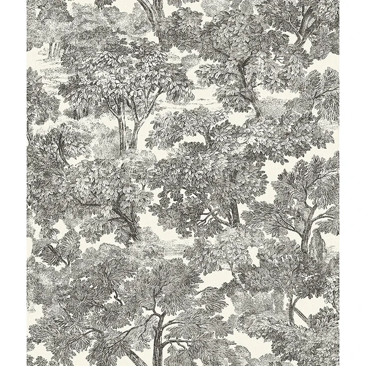 4134-72558 | Spinney Black Toile Wallpaper