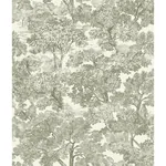Brewster Home Fashions Spinney Green Toile Wallpaper - SKU 4134-72561