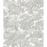 Brewster Home Fashions Spinney Grey Toile Wallpaper | Wallpaper Twins Brewster Home Fashions Spinney Grey Toile Wallpaper - SKU 3115-12541
