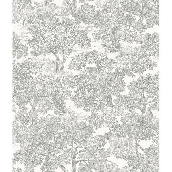 3115-12541 | Spinney Grey Toile Wallpaper