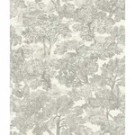 Brewster Home Fashions Spinney Grey Toile Wallpaper | Wallpaper Twins Brewster Home Fashions Spinney Grey Toile Wallpaper - SKU 4134-72560