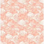 Brewster Home Fashions Surfside Coral Shells Wallpaper - SKU 2904-25689