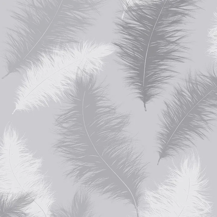 Brewster Home Fashions Sussurro Grey Feathers Wallpaper - SKU AH901705