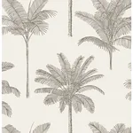 Brewster Home Fashions Taj Beige Palm Trees Wallpaper - SKU DD139163