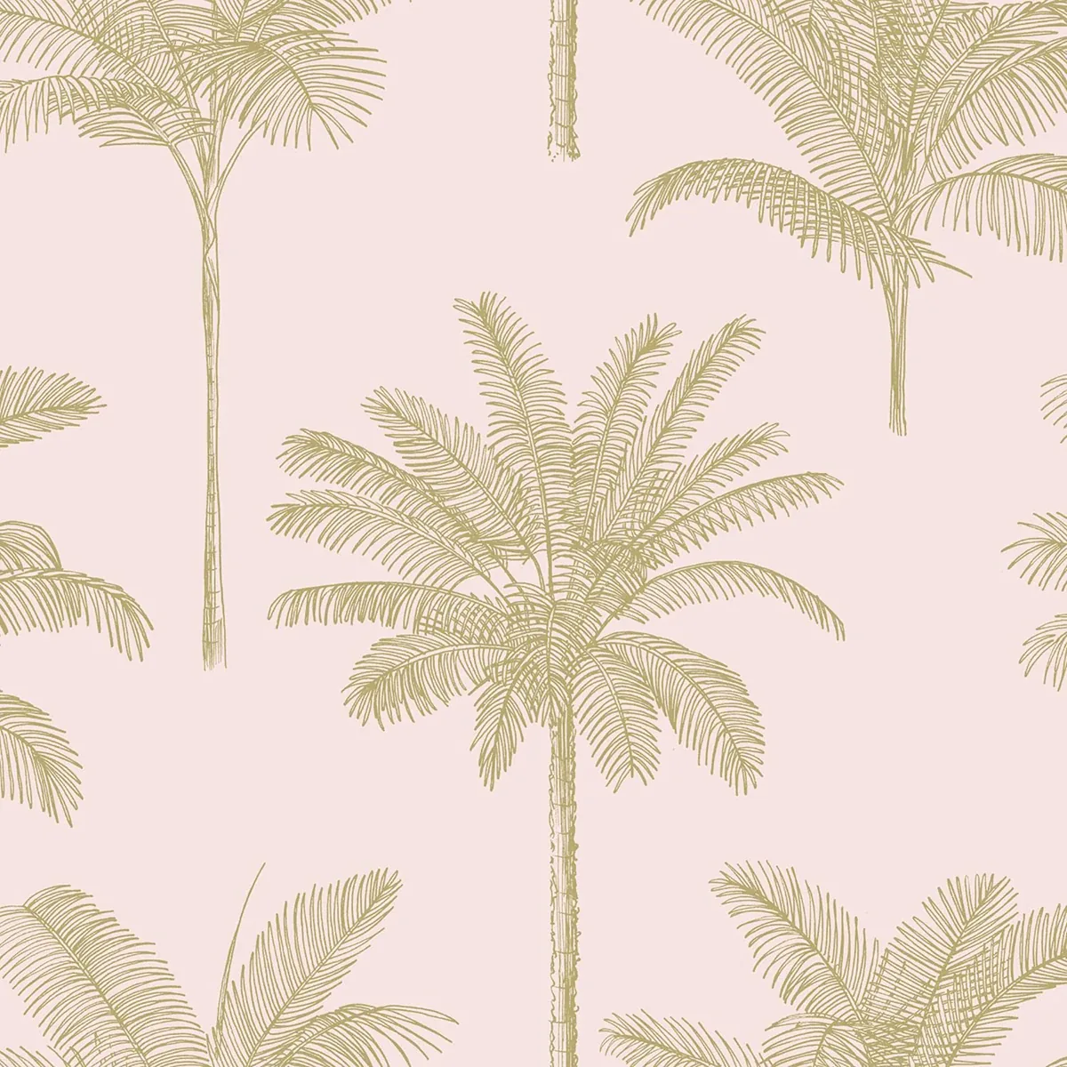 DD139164 | Taj Blush Palm Trees Wallpaper