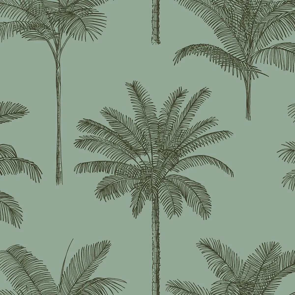 Brewster Home Fashions Taj Sage Palm Trees Wallpaper - SKU DD139165
