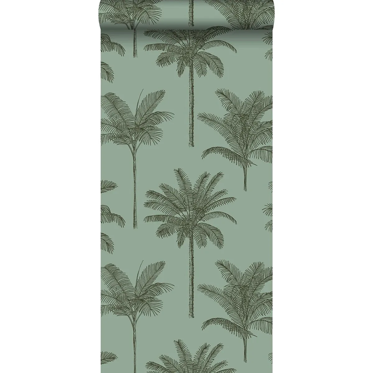 Brewster Home Fashions Taj Sage Palm Trees Wallpaper | Wallpaper Twins Brewster Home Fashions Taj Sage Palm Trees Wallpaper - SKU DD139165