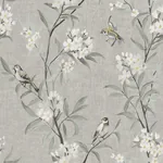 Brewster Home Fashions Tea Olive Gray Finch Frolic Wallpaper - SKU 4169-83141