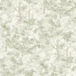 Brewster Home Fashions Thicket Sage Forest Wallpaper - SKU 4169-83109