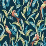 Brewster Home Fashions Timor Indigo Parrot Wallpaper | Wallpaper Twins Brewster Home Fashions Timor Indigo Parrot Wallpaper - SKU WLD53117W