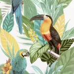 Brewster Home Fashions Trudie Multicolor Toucan Macaw Wallpaper - SKU AH296803