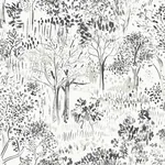 Brewster Home Fashions Walden Black Forest Wallpaper - SKU 3124-13894