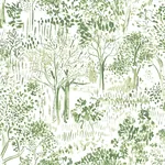 Brewster Home Fashions Walden Green Forest Wallpaper - SKU 3124-13891