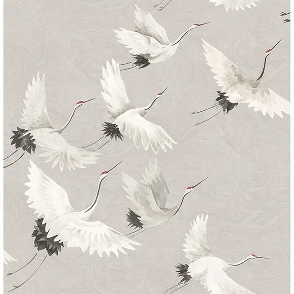 2904-24304 | Windsong Grey Bird Wallpaper