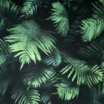 Brewster Home Fashions Winona Green Ferns Wallpaper | Wallpaper Twins Brewster Home Fashions Winona Green Ferns Wallpaper - SKU AH907601
