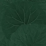 Brewster Home Fashions Xylem Evergreen Large Leaves Wallpaper - SKU DD138997