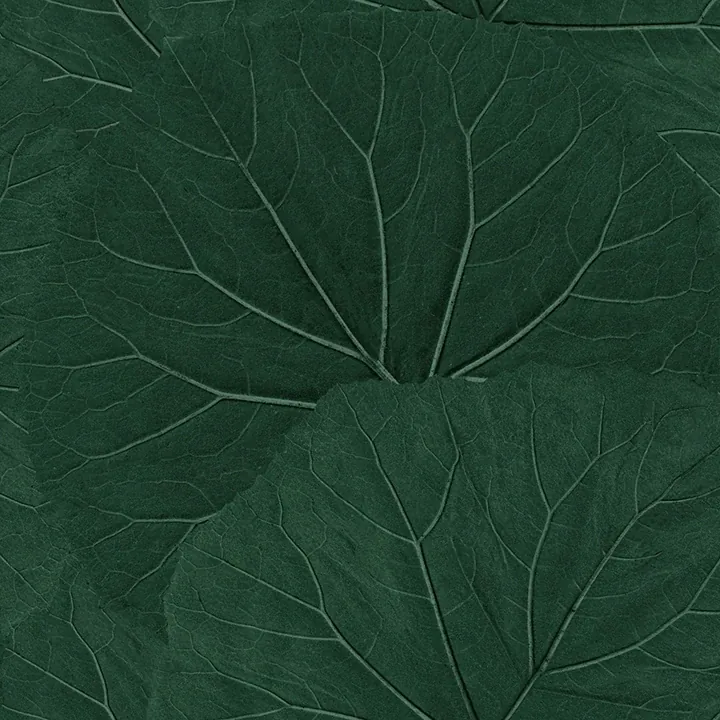 Brewster Home Fashions Xylem Evergreen Large Leaves Wallpaper - SKU DD138997