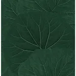Brewster Home Fashions Xylem Evergreen Large Leaves Wallpaper - SKU DD138997