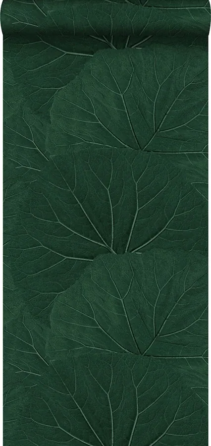Brewster Home Fashions Xylem Evergreen Large Leaves Wallpaper - SKU DD138997
