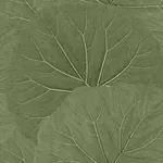 Brewster Home Fashions Xylem Olive Large Leaves Wallpaper | Wallpaper Twins Brewster Home Fashions Xylem Olive Large Leaves Wallpaper - SKU DD138995