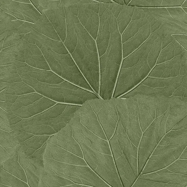 Brewster Home Fashions Xylem Olive Large Leaves Wallpaper - SKU DD138995