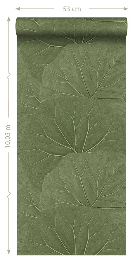 Brewster Home Fashions Xylem Olive Large Leaves Wallpaper - SKU DD138995