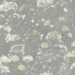 York Designer Series Botanical Fantasy Grey Wallpaper - SKU NA0541