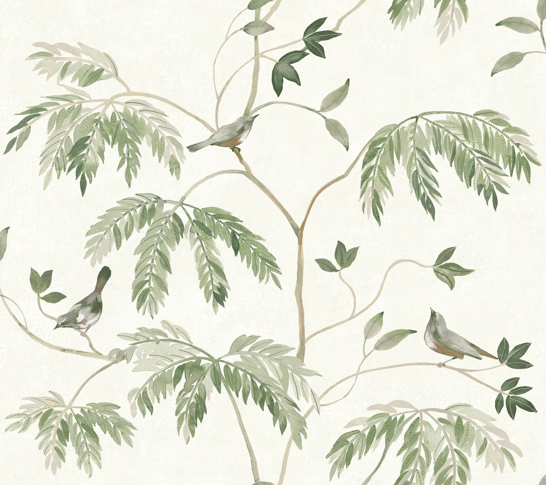 LL3251 | Cillian Dark Green Botanical Bird Trail Wallpaper