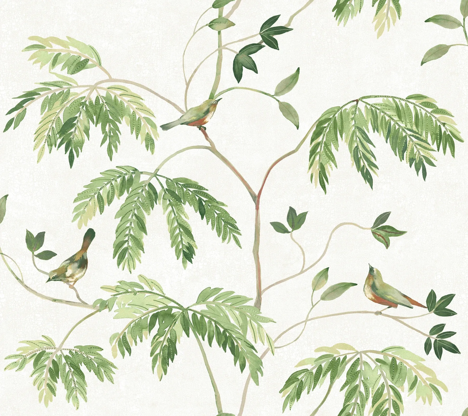 LL3250 | Cillian Green Botanical Bird Trail Wallpaper
