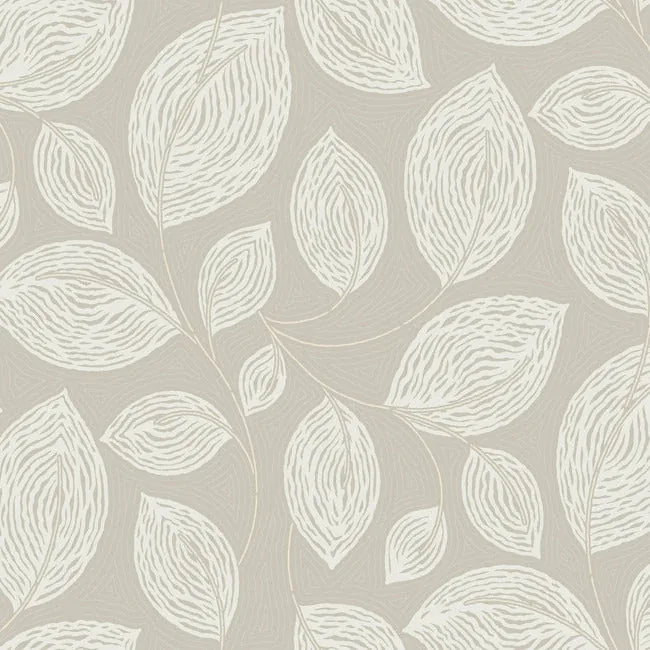 York Designer Series Contoured Leaves Taupe Wallpaper - SKU EV3922