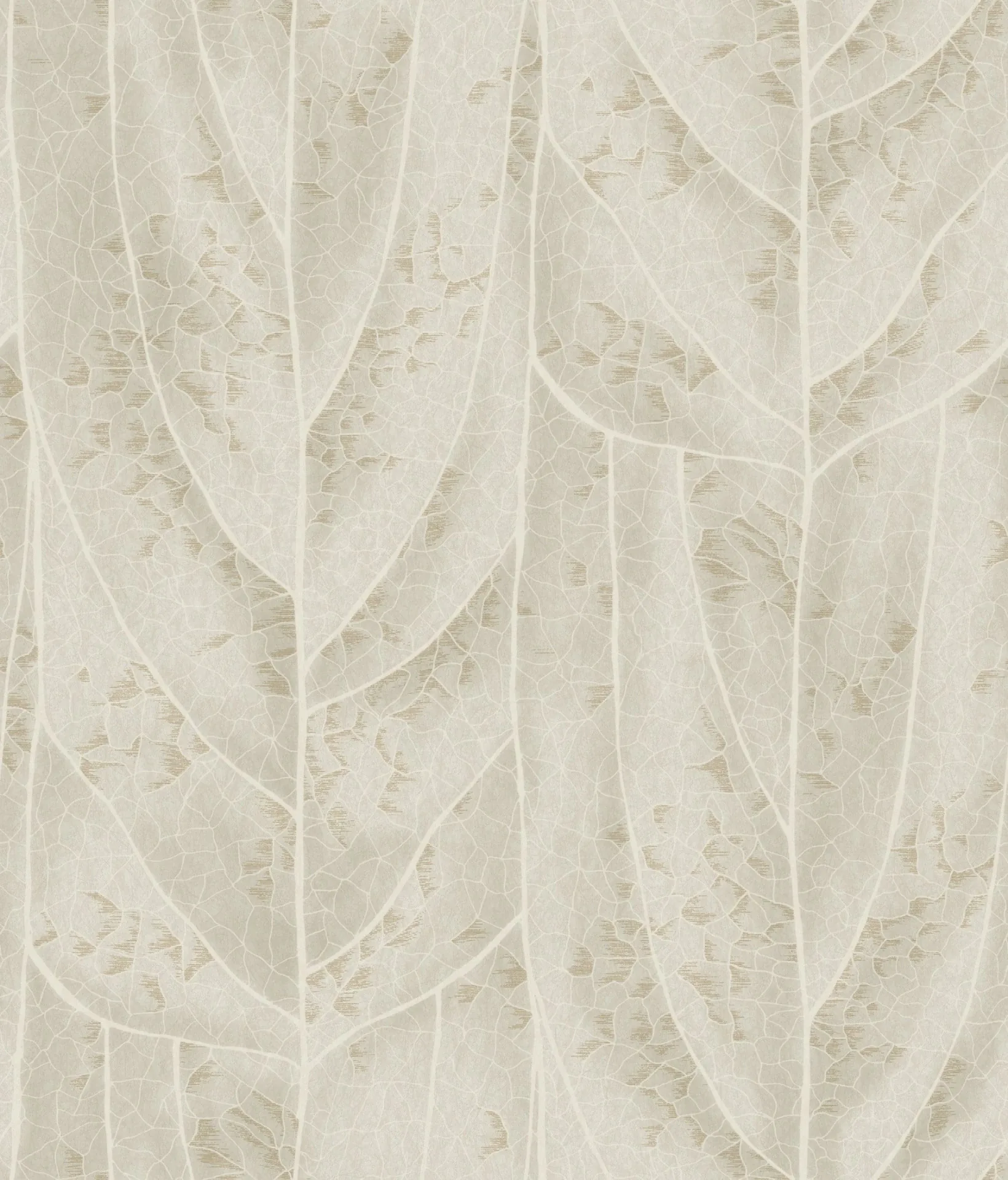 NT6144 | Dicot Beige Leaf Wallpaper